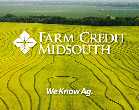 Farm Credit Midsouth - Website Project