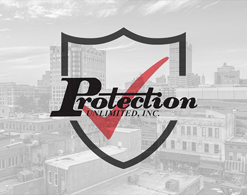 Protection Unlimited - Website Project