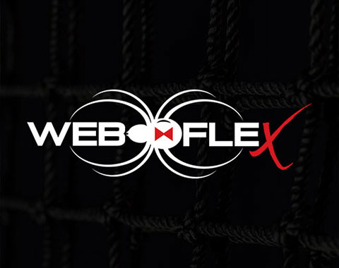 Web Flex - Website & E-Commerce