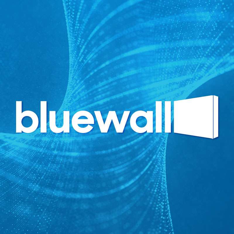 The Bluewall team is dedicated to growing as the web grows.
